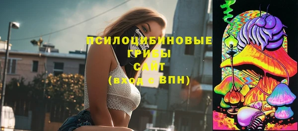 дмт Алексин