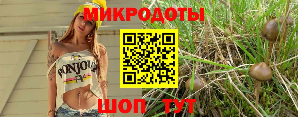 Галлюциногенные грибы ЛСД  Вход с VPN  Богородск 