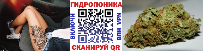 Канабис планчик Богородск